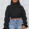 Lantern Sleeve Knit Crop Sweater | MzStar Fashion | view 5